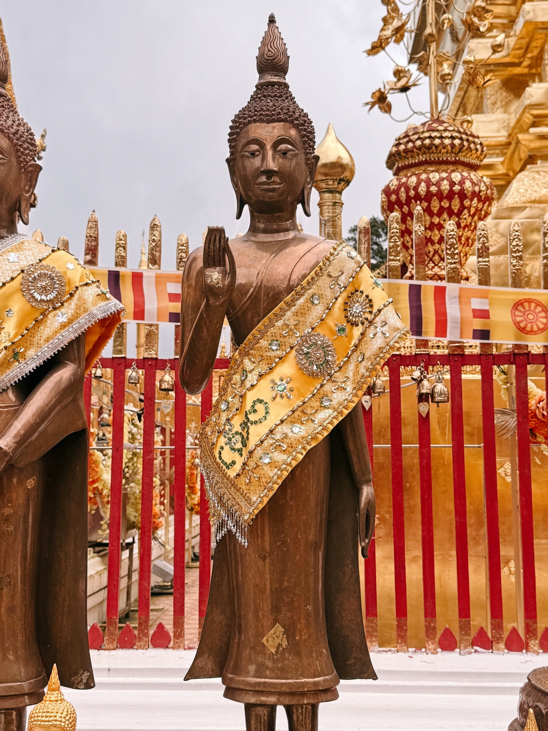 Lunedì - Pacificazione