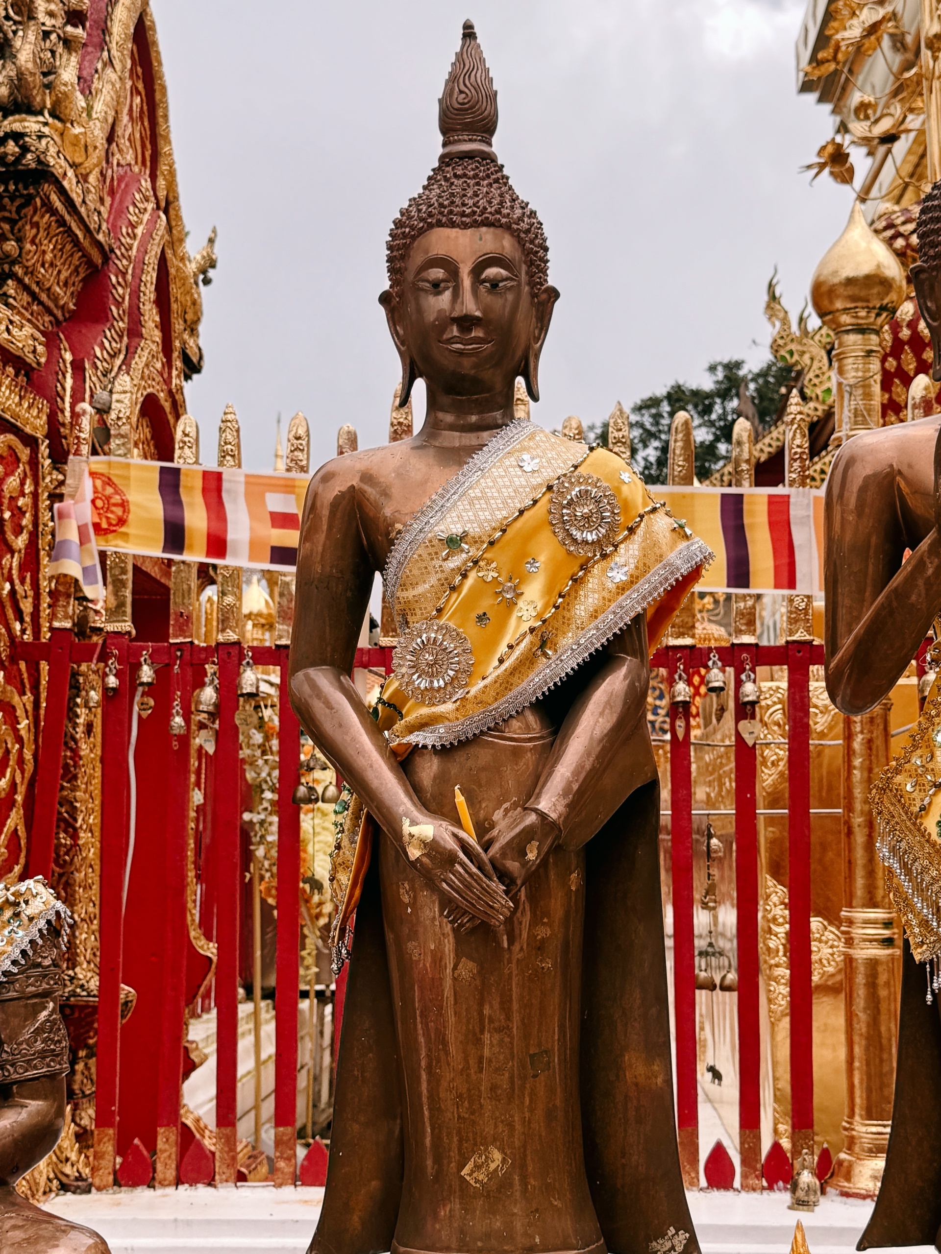 Domenica - Meditazione pacifica